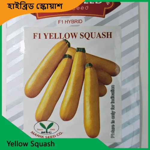 Squash Seeds Price