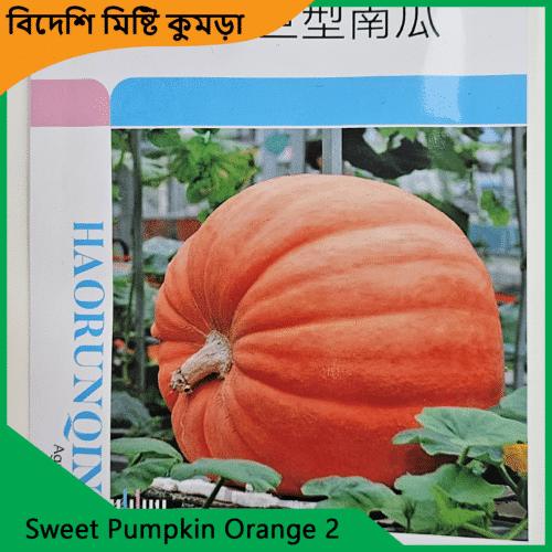 Sweet-Pumpkin-Orange-2