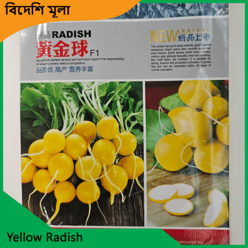 Yellow Radish