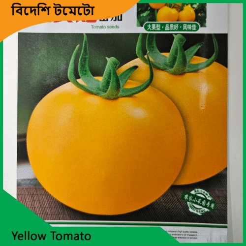 Yellow-Tomato