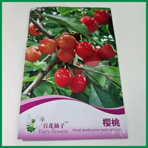 bideshi cherry fal