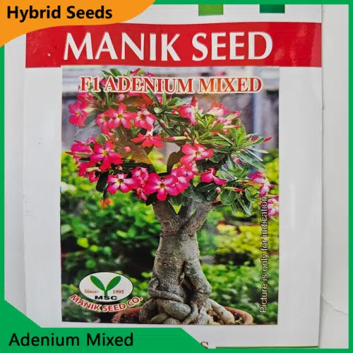 Deshi Flower Seeds - Adenium Mixed