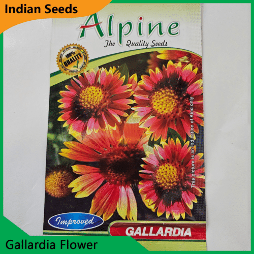 Gallardia Flower