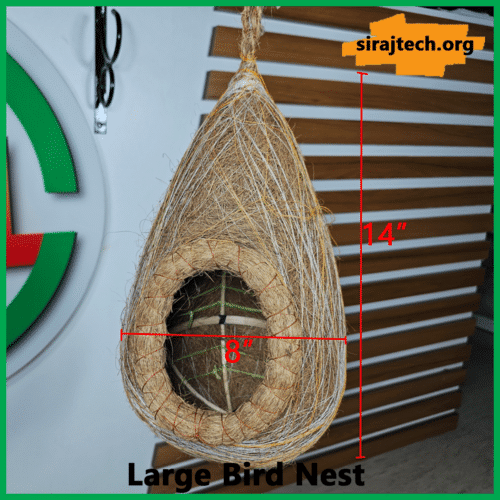 Large Bird Nest
