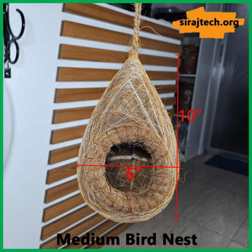 Medium Bird Nest