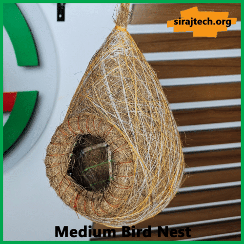 Medium Bird Nest Price