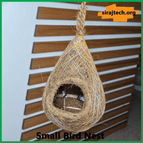 Bird Nest Price