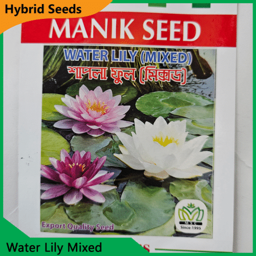 Water Lily Mixed
