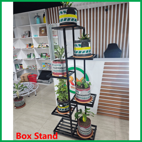 Indoor Plant Stands for Multiple Plants