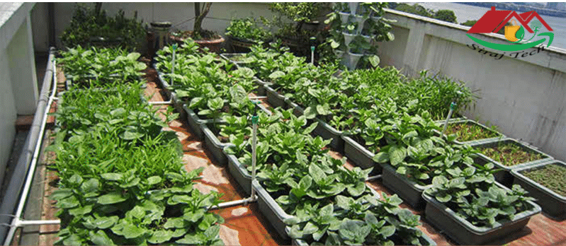 Roof Irrigation Management