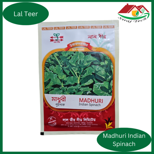 Indian Spinach Seed