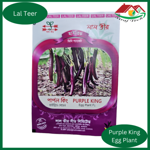 Purple King Egg Plant
