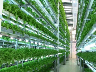 Aeroponics Farming method