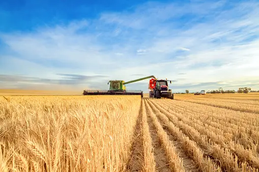 Plane Crop-field