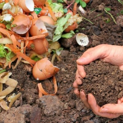 How to use Organic Fertilizer