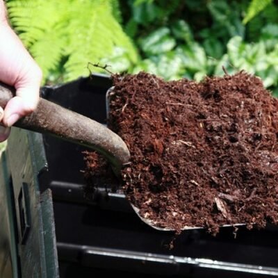 Organic Fertilizer and Pesticides