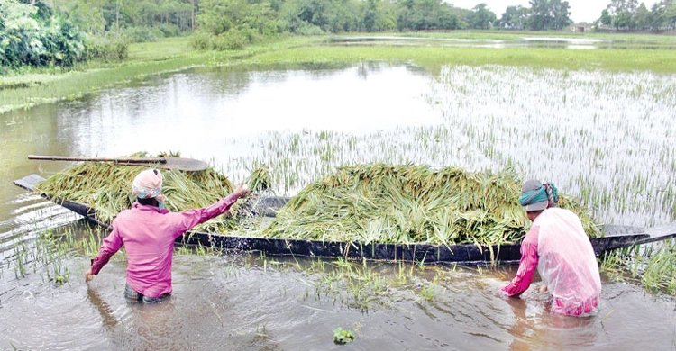 to do in flood