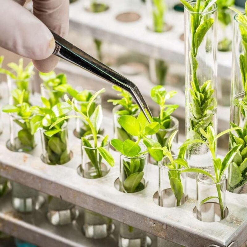 Biotechnology in Agriculture