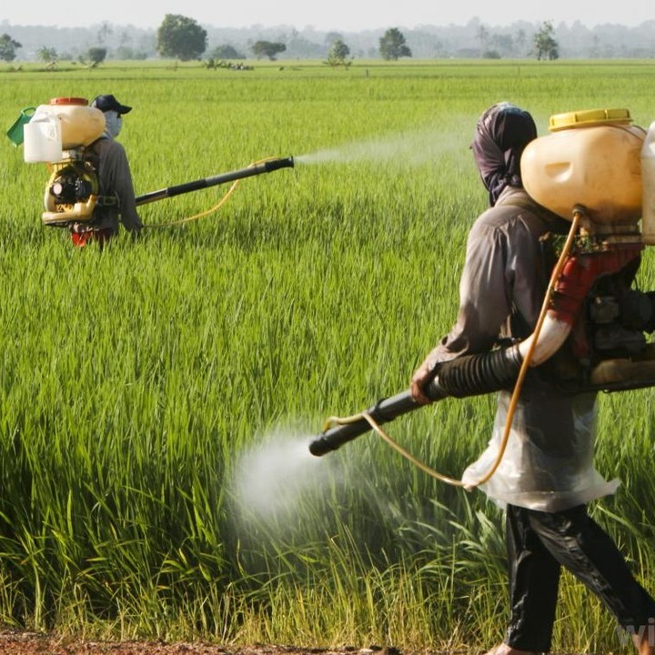 Chemical Pesticides