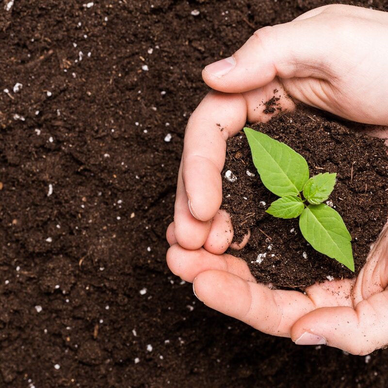 Organic Fertilizer Benefits