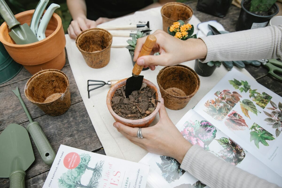 Soil preparation and planting for roof gardens.