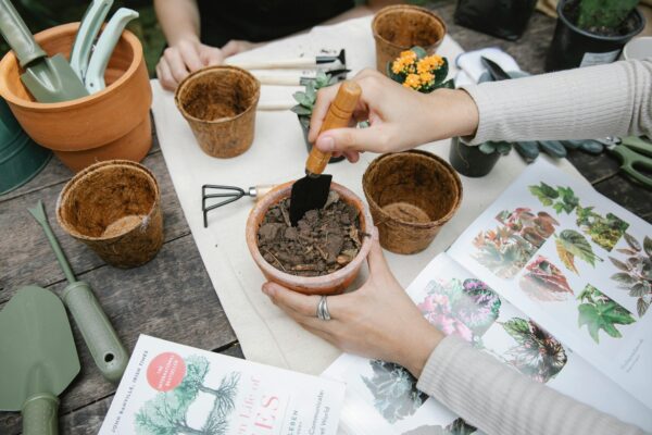 Soil preparation and planting for roof gardens.