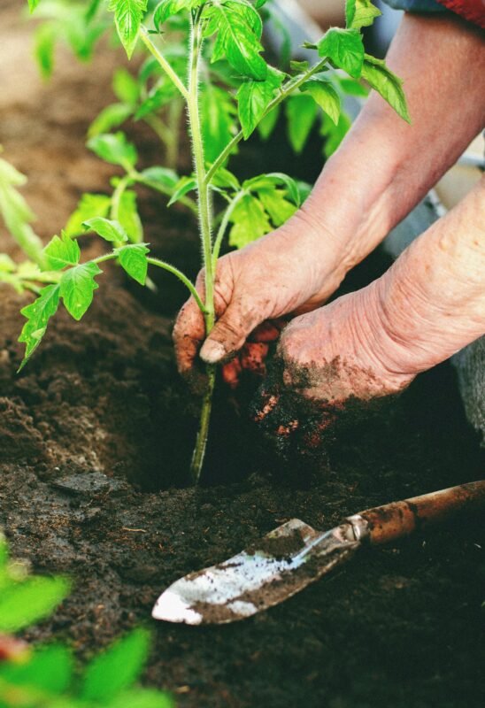 soil fertility