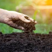 Soil Health Improvement