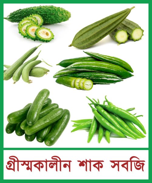 গ্রীস্মকালীন শাক সবজি