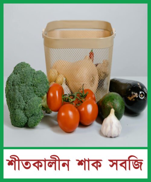 শীতকালীন