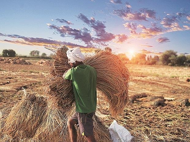 Disaster Preparedness Agriculture