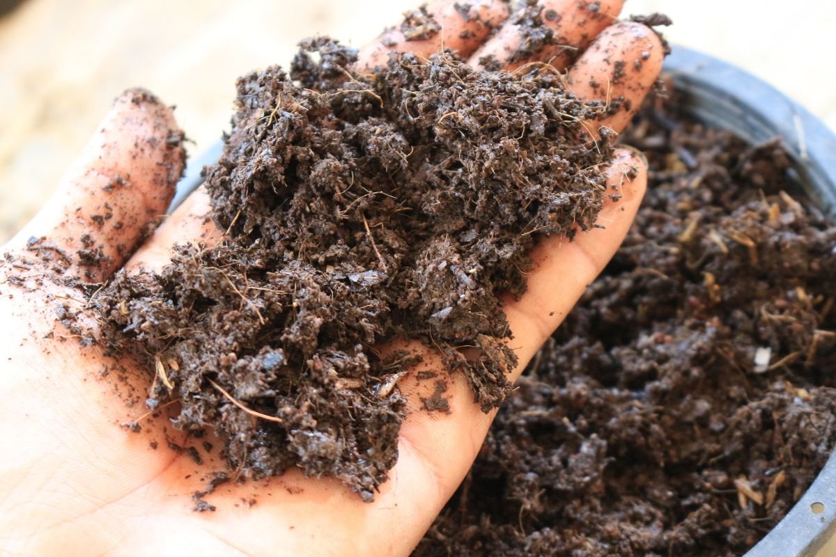 Treating Wet Soil