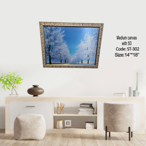 Medium Canvas 5D Artwork with Frame