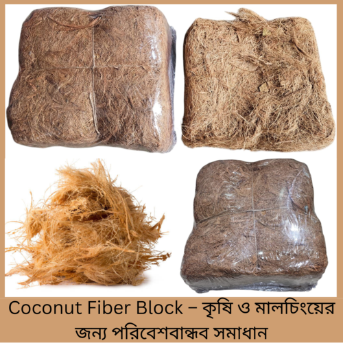 Coconut Fiber Block