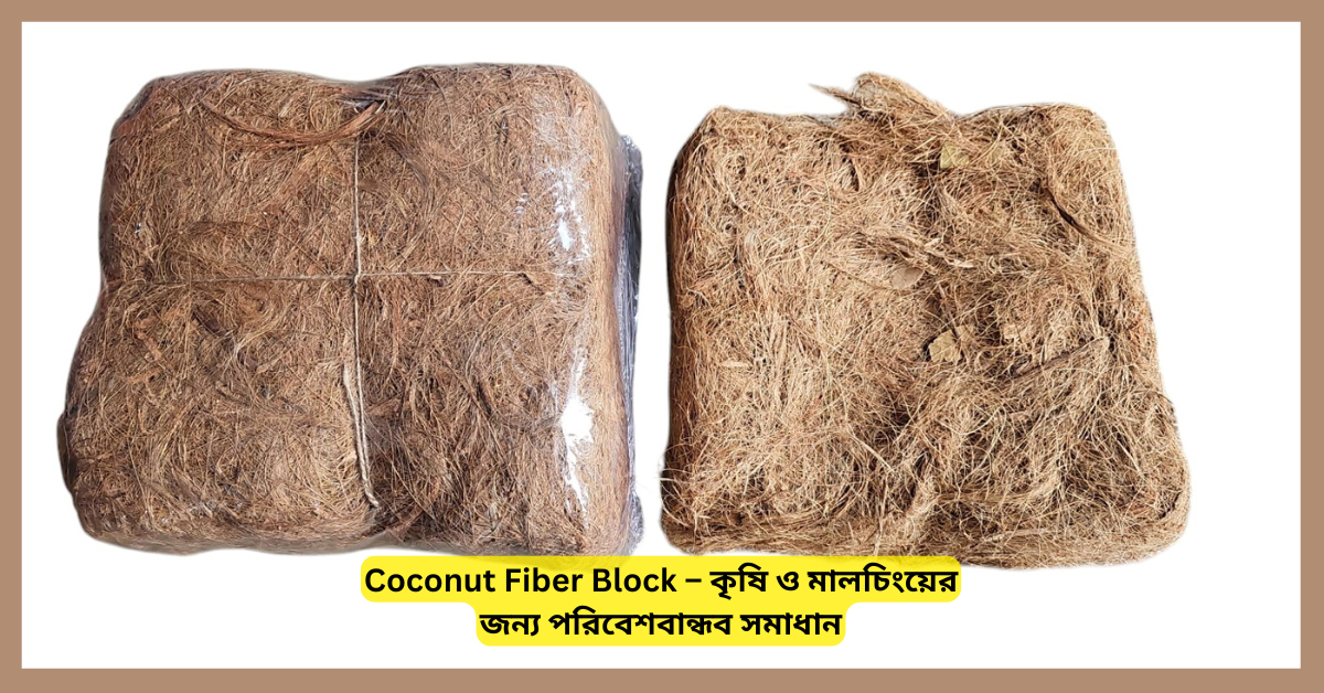 Coconut Fiber Blocks