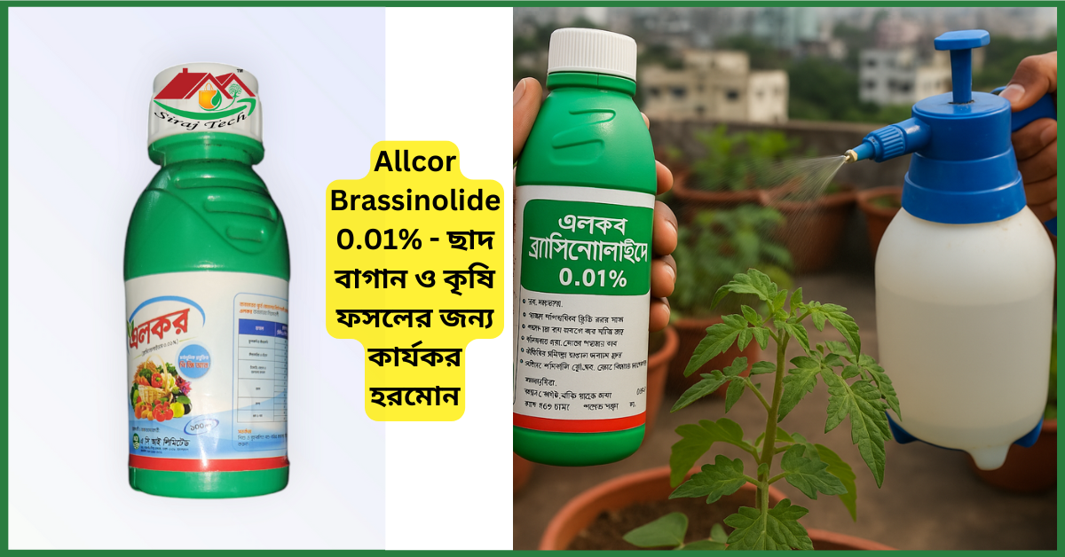 Allcor Brassinolide