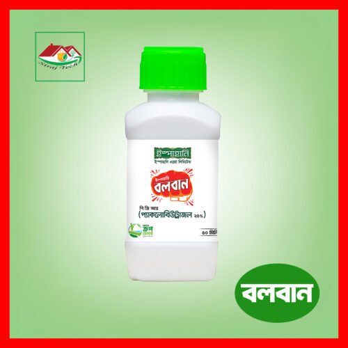 Ispahani Bolban