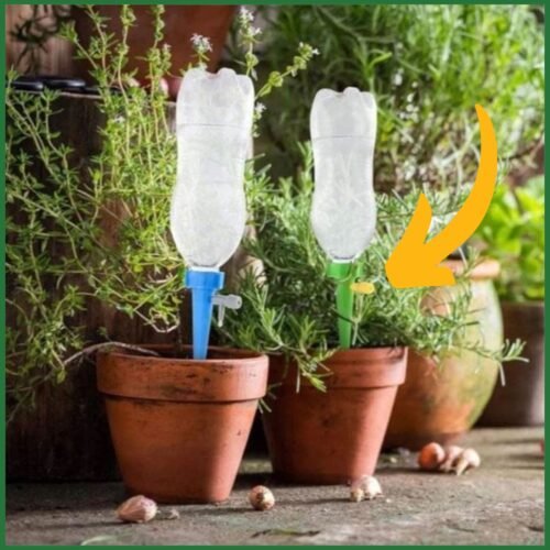 Auto Drip Irrigation System