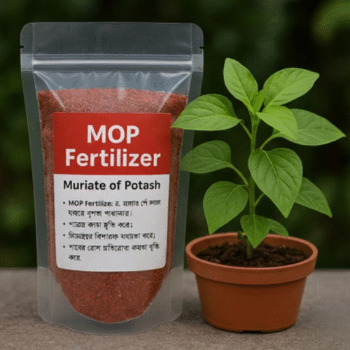 MOP Fertilizer
