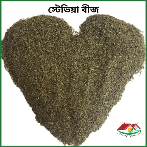 Stevia Seeds Bangladesh