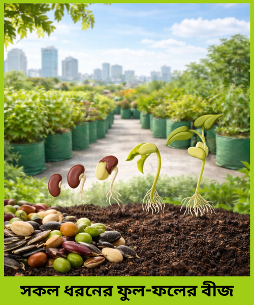 High quality gardening Seeds