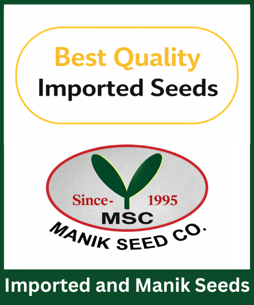 Imported Seeds and Manik Seeds