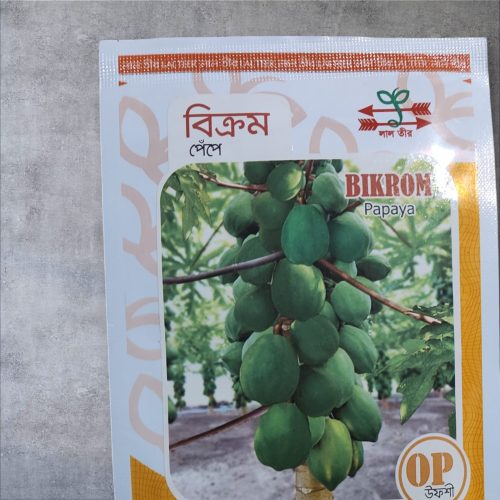 Alternative view of Papaya seed পেঁপে বীজ