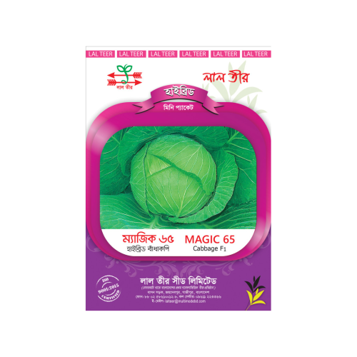 Magic 65 Cabbage F1 Hybrid Seeds | ম্যাজিক ৬৫ বাঁধাকপি হাইব্রিড বীজ