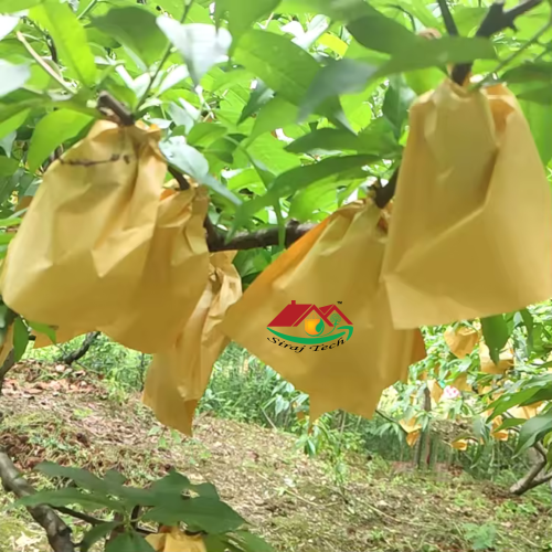 fruit bag