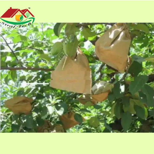 fruit protection bags