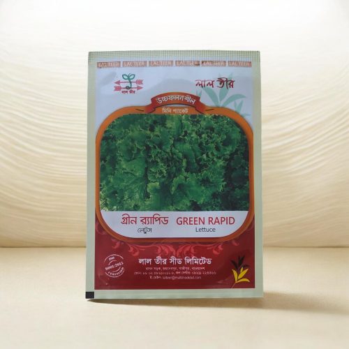 Lettuce Seed লেটুস বীজ