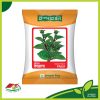 Kajla Indian Spinach