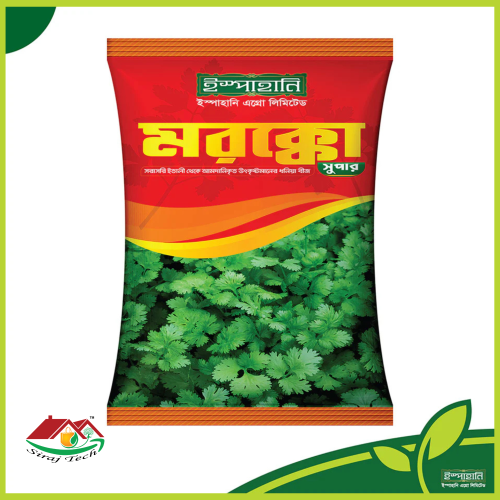 Morocco Super Coriander Seed