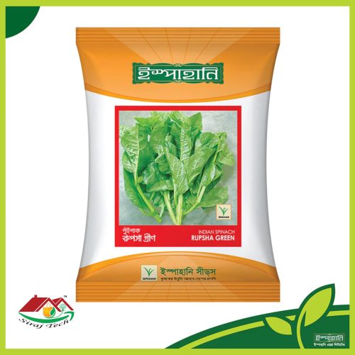 Rupsa Green Indian Spinach